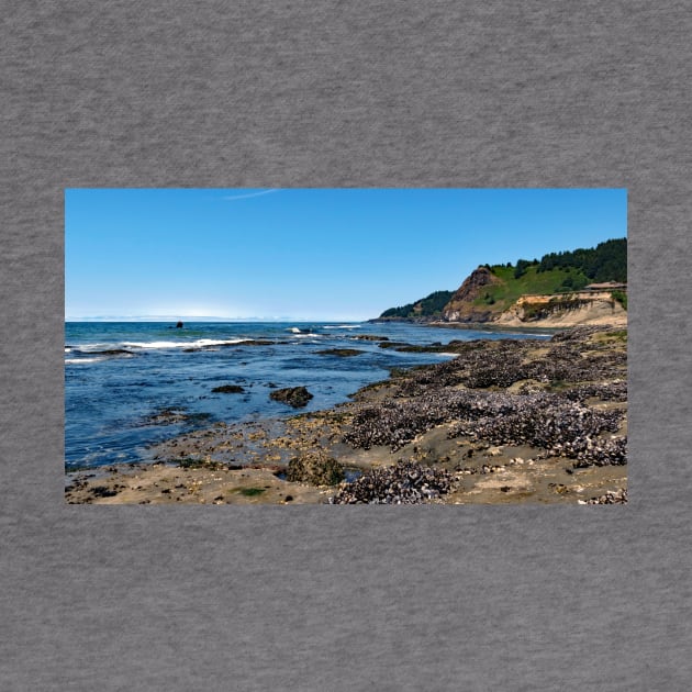 Otter Crest Beach Oregon by supernova23